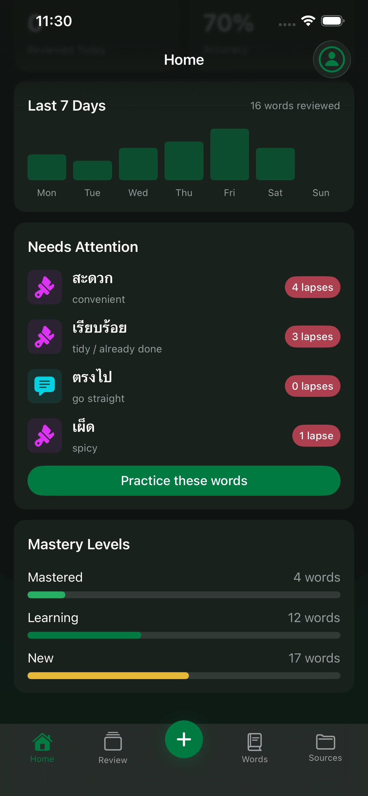 Language Den home dashboard with review stats and mastery levels