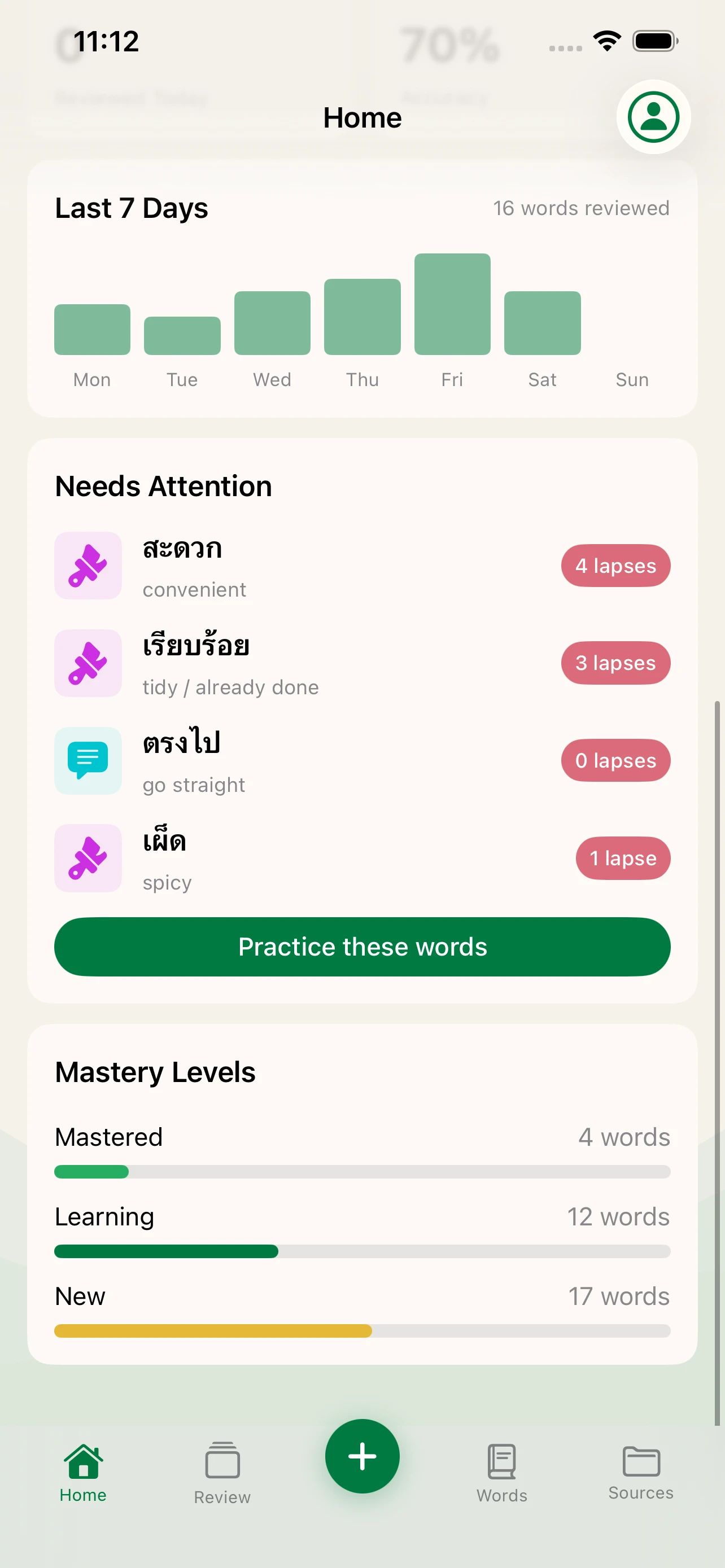 Language Den home dashboard with review stats and mastery levels